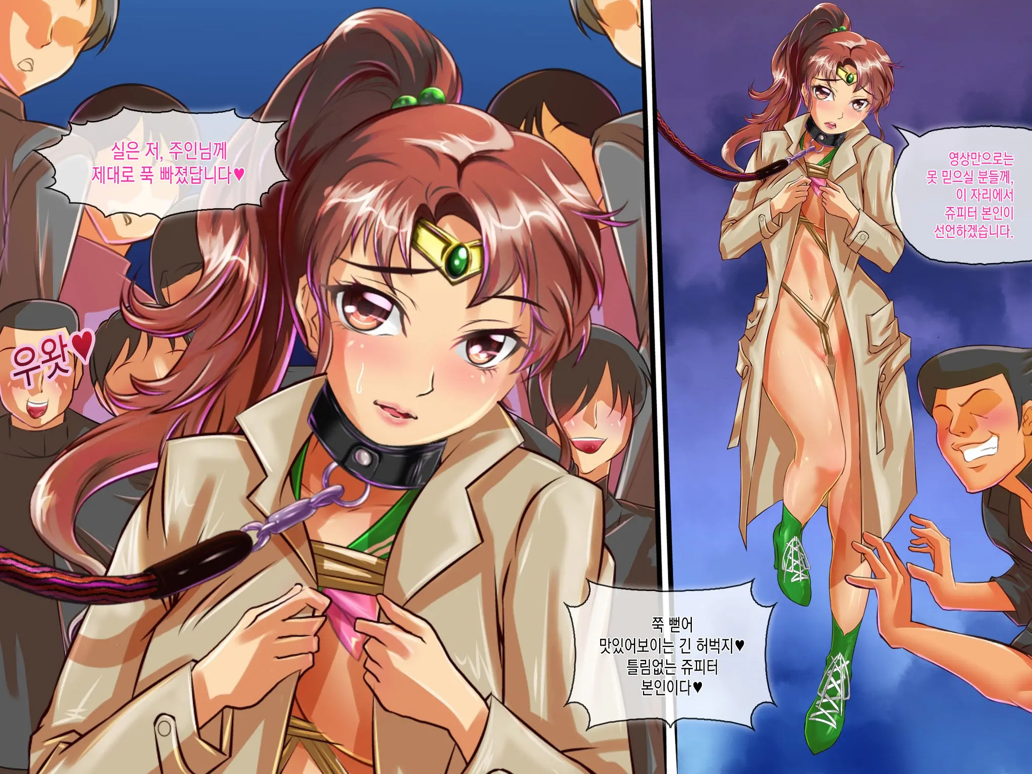 Botebara Senshi Sailor Moon ~Sailor Jupiter Abakareta Seiheki~